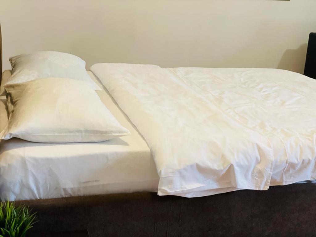 Tranzzit Airport Apartament 오토페니 외부 사진