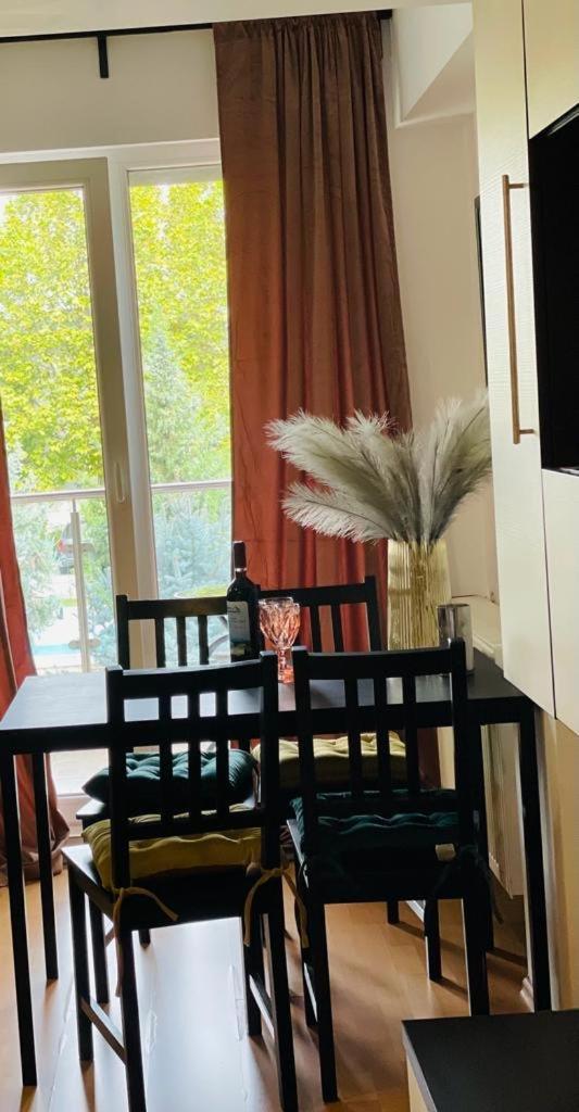Tranzzit Airport Apartament 오토페니 외부 사진