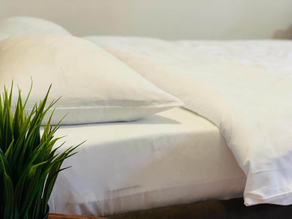 Tranzzit Airport Apartament 오토페니 외부 사진