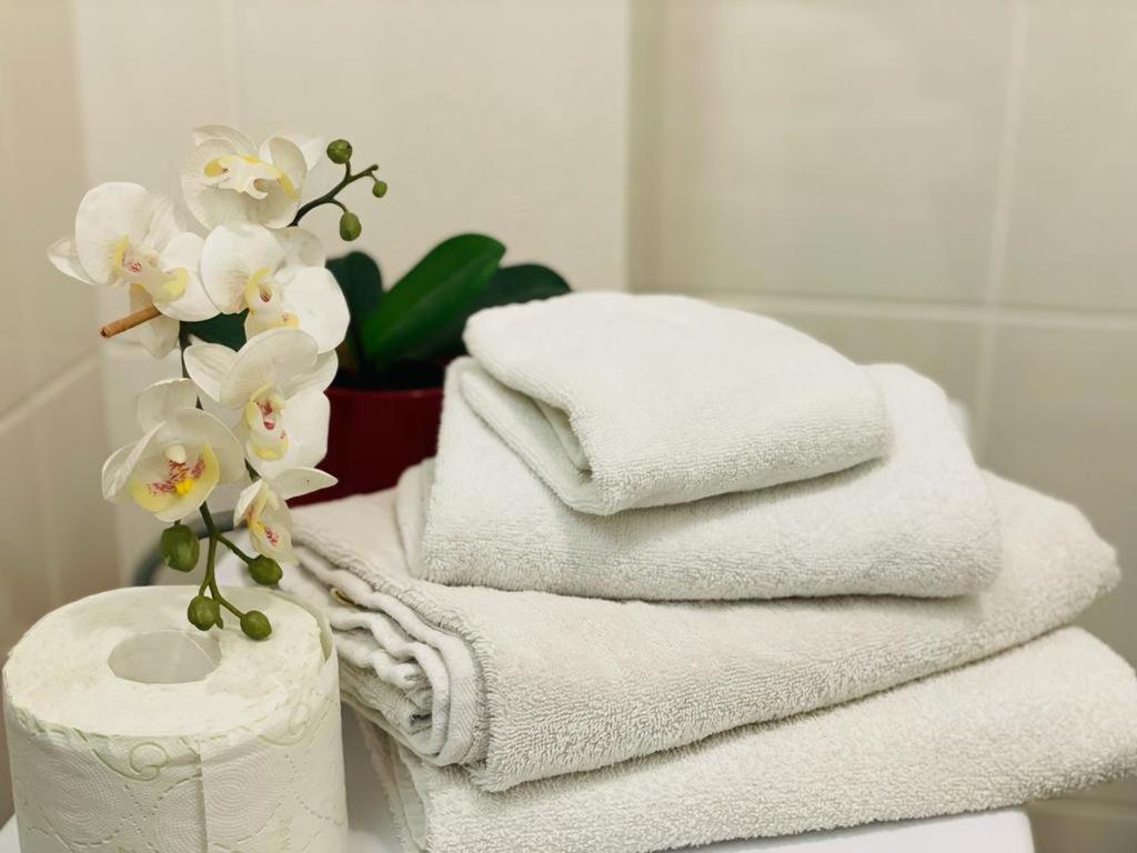 Tranzzit Airport Apartament 오토페니 외부 사진