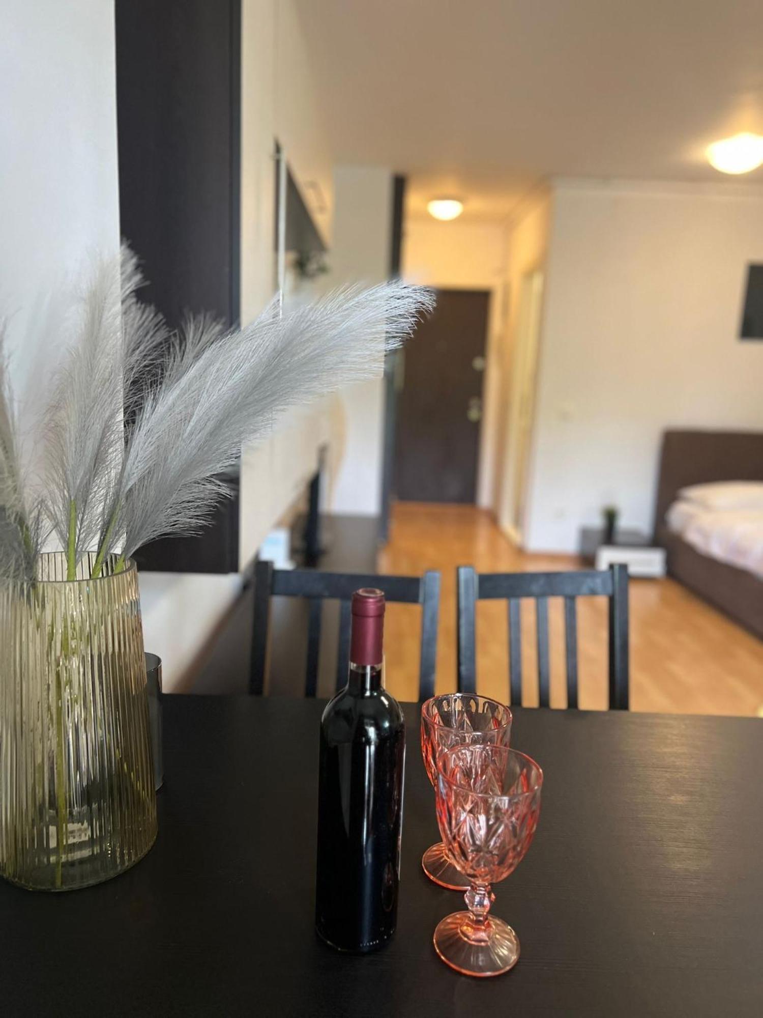 Tranzzit Airport Apartament 오토페니 외부 사진